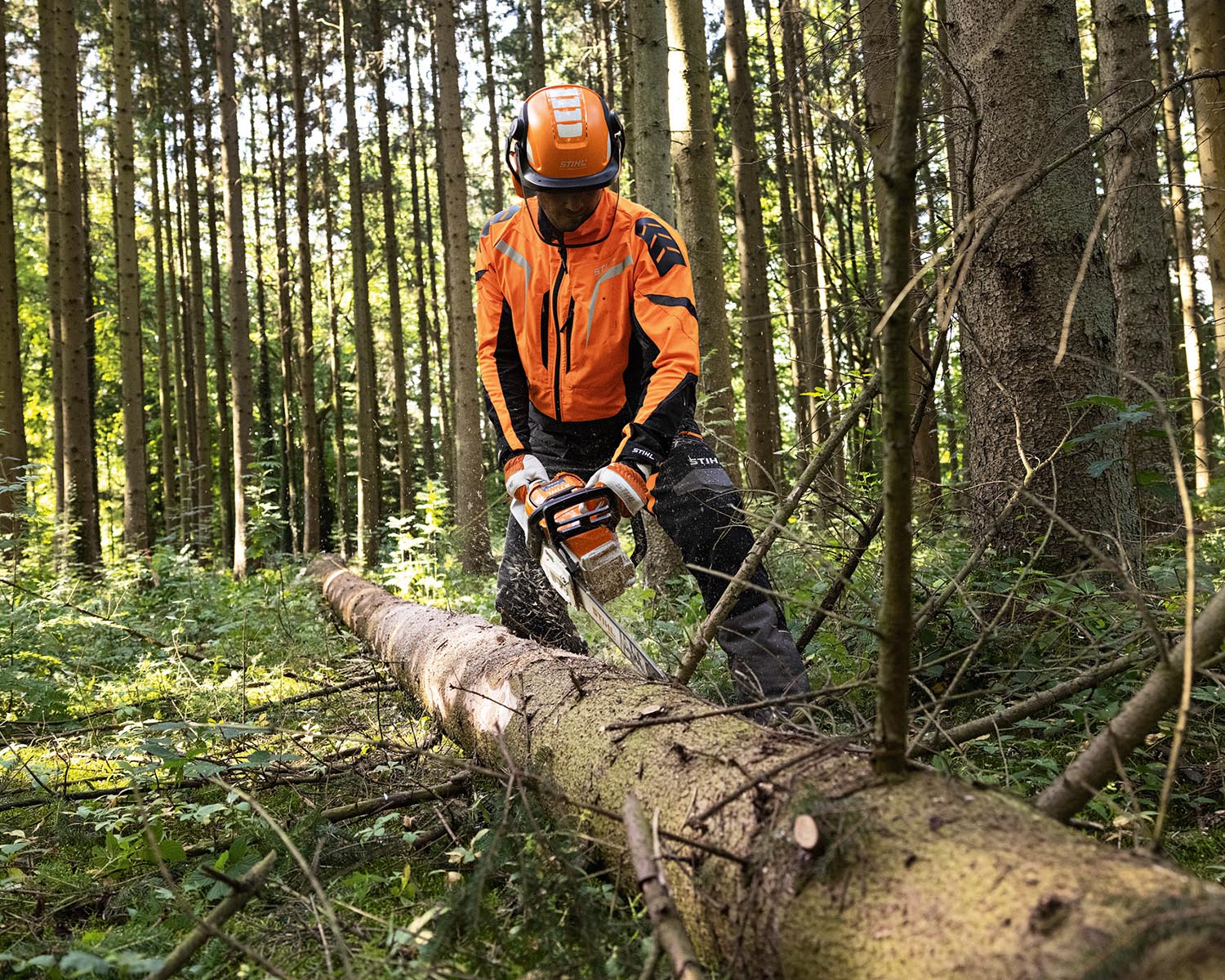 STIHL MSA300 Cordless Chainsaw